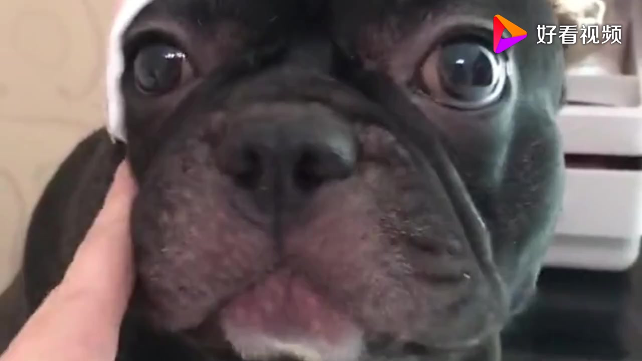 搞笑配音:二狗,你怎么一干仗就给我打电话呢?对方什么队形?