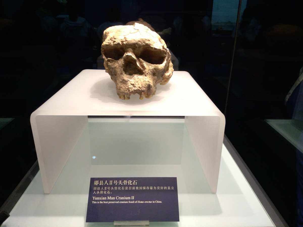 湖北省博物馆十大"镇馆之宝"