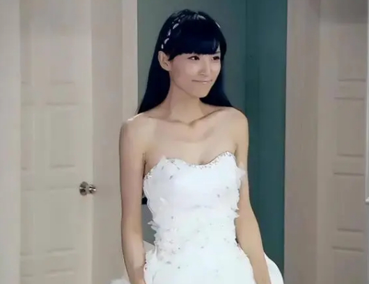 赵霁(饰林宛瑜)