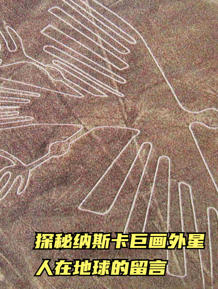 探秘纳斯卡巨画:外星人在地球的留言?