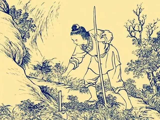 孤儿命运多舛土匪赞其前途28个字