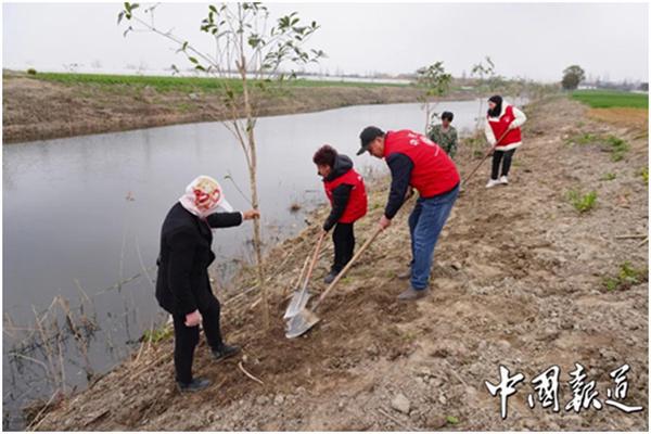 盐城东台许河镇图片