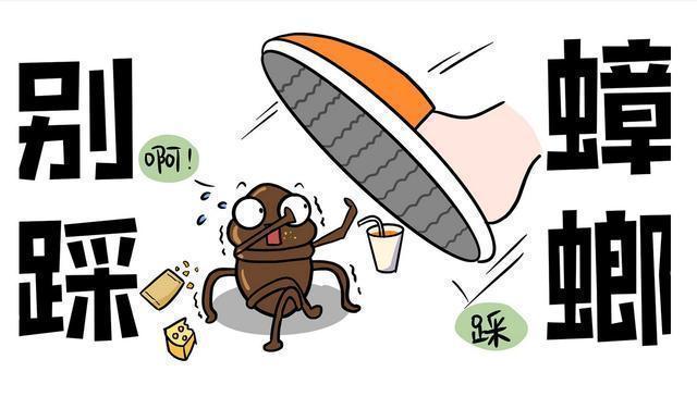 九成人不知道"蟑螂天敌"是啥?使用这"土法子",蟑螂"全都消失"