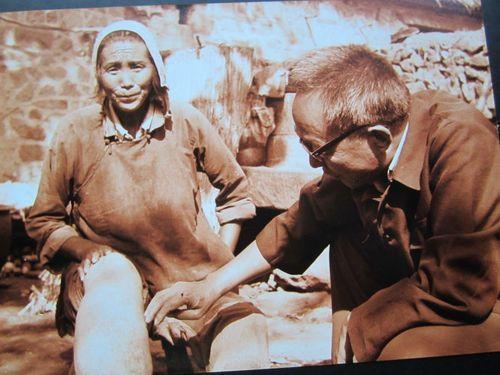 九成人不懂蚊子天敌是啥学会1笨法子整夜开窗也不怕