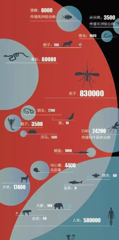 九成人不懂蚊子天敵是啥教你用1招整晚開窗也能睡個好覺