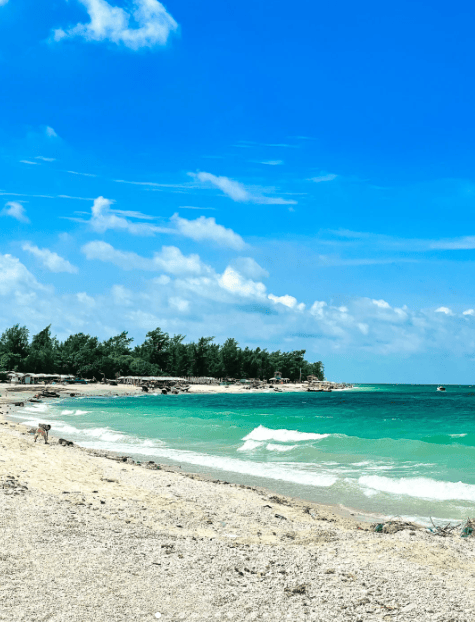 广西旅游攻略,广西北海旅游4天多少钱,新手必看