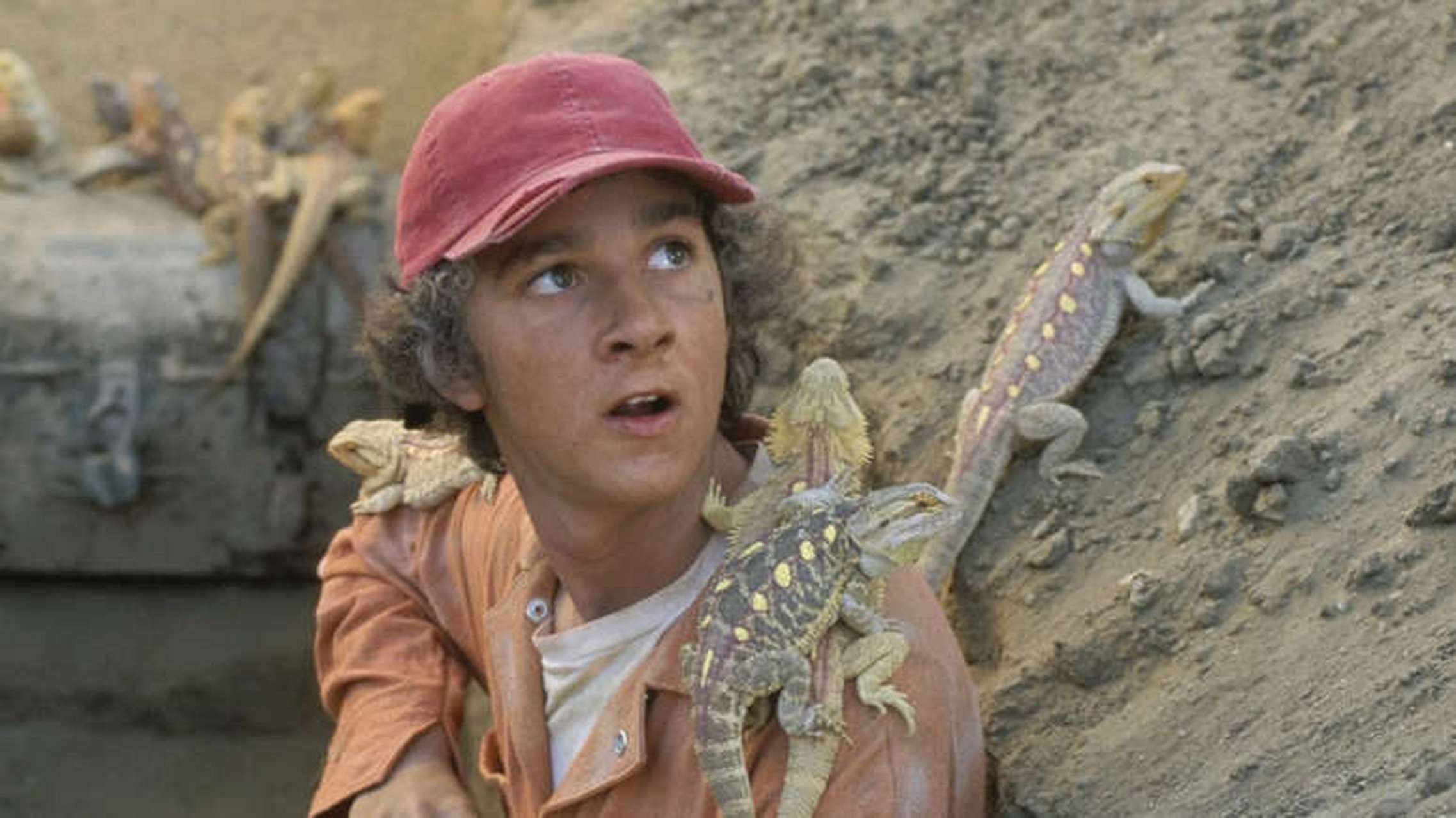 这个春天推荐你宅家看的电影 《别有洞天》(2003)  年轻的斯坦利·耶