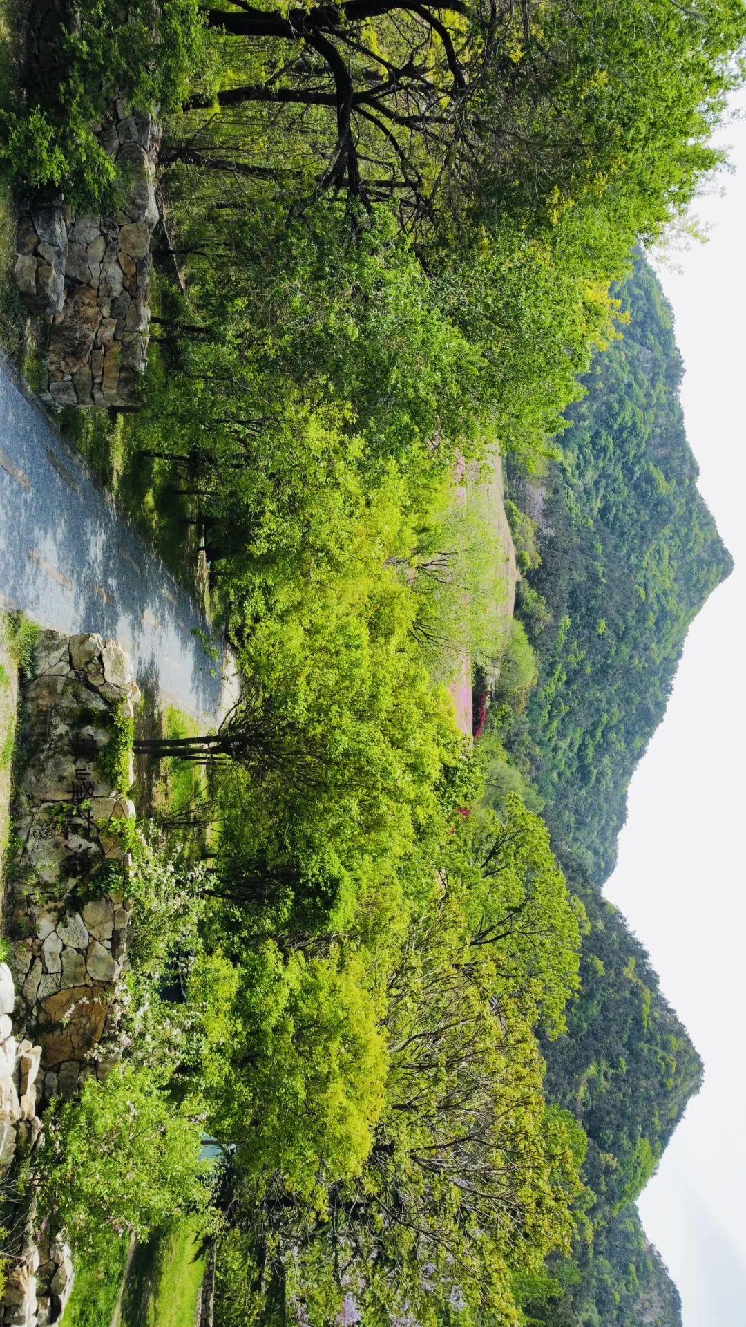 海上仙山之祖开山啦云海花海氧吧难怪秦皇去了都沉醉