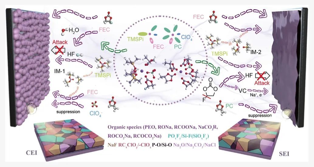 黄佳琦徐吉静乔世璋吴兴隆何冠杰陈军等成果
