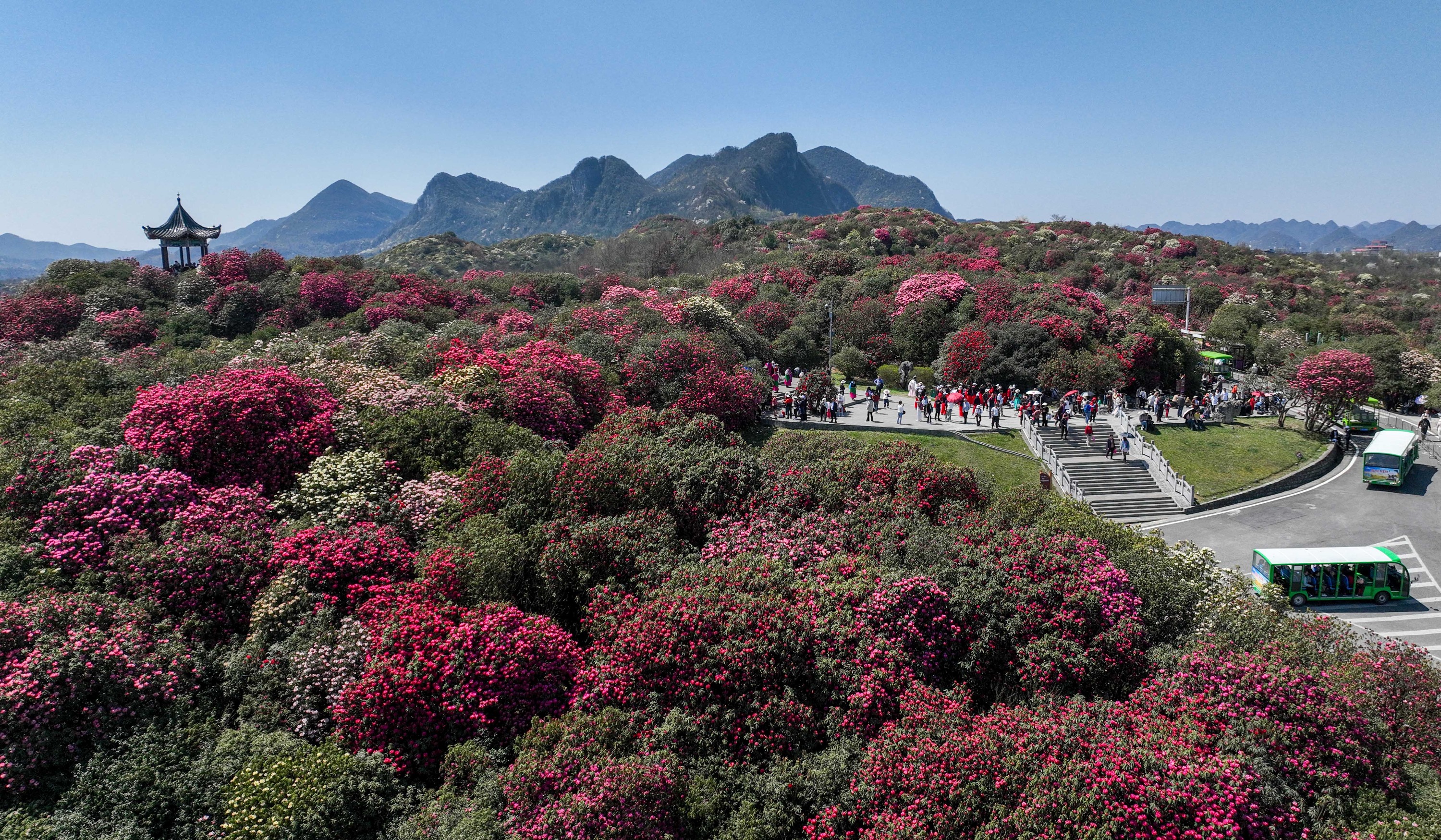 毕节八大景图片