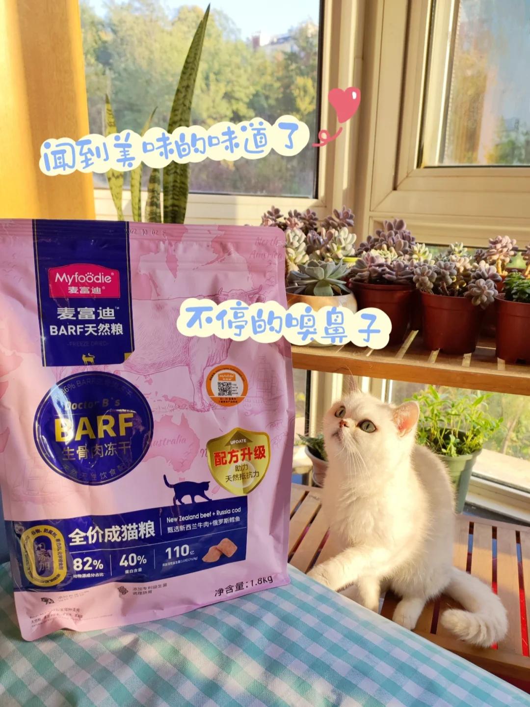 猫咪尾巴严重掉毛伴有皮屑,原因及解决方法?