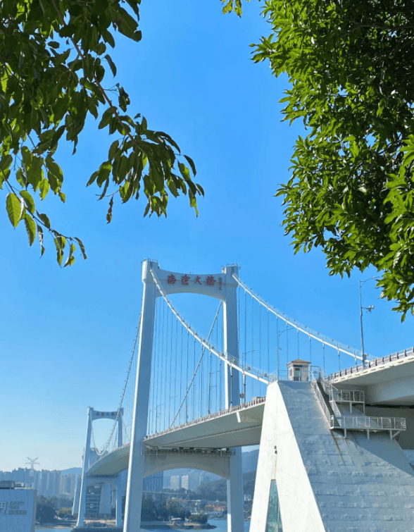 厦门海堤大桥图片