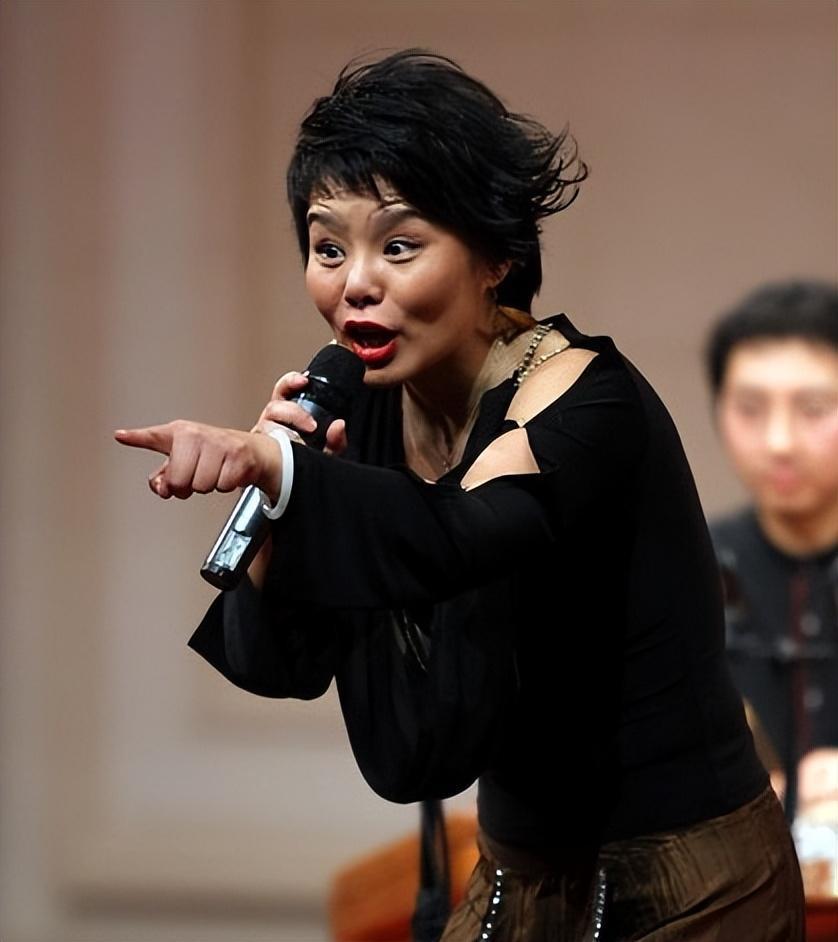 龚琳娜的锐言犀利让众人深受触动引发王菲沉默