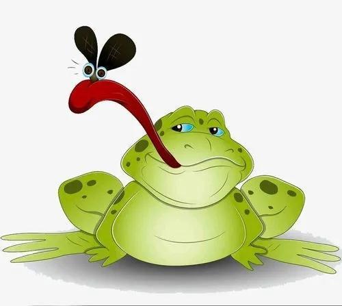 九成人不知道蚊子最大天敌是啥教你个笨招整夜开窗都不怕