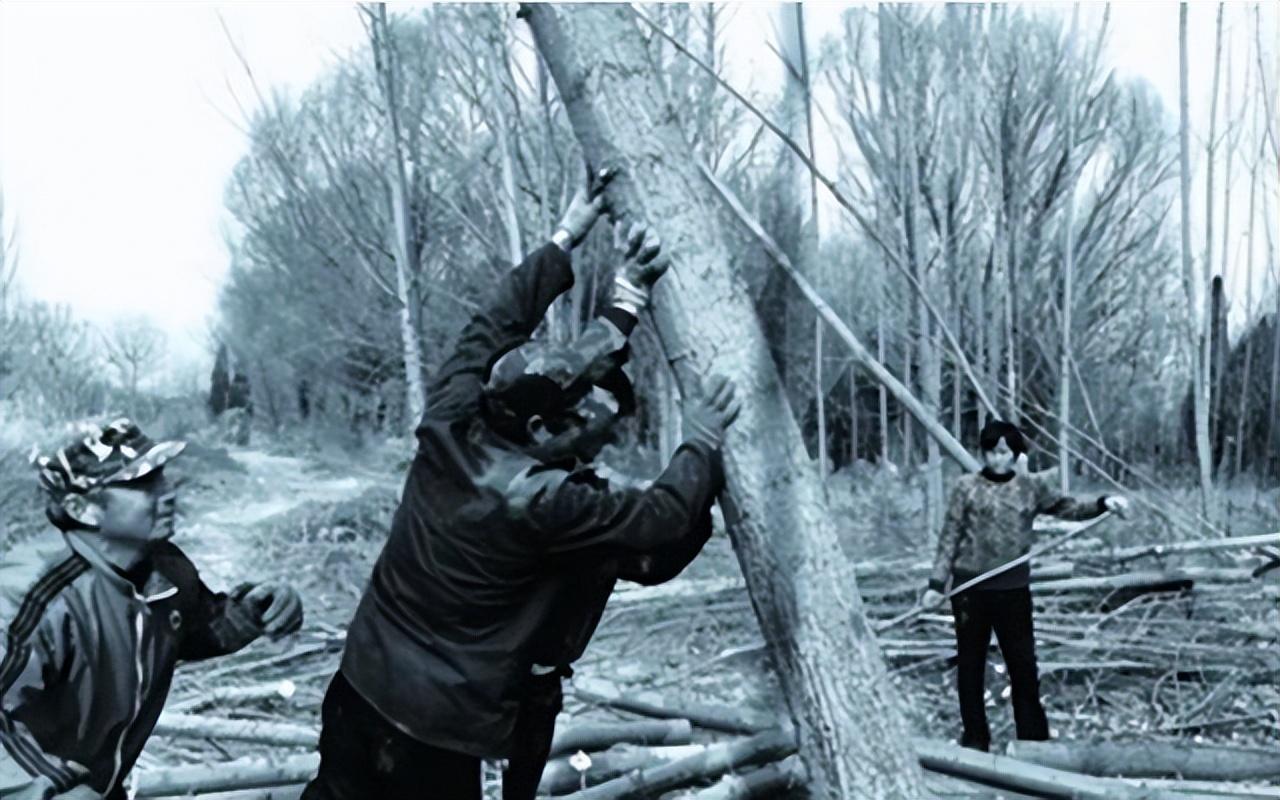 1995年陕西逃犯带8岁儿子躲进深山15年后被捕时帮我找儿子