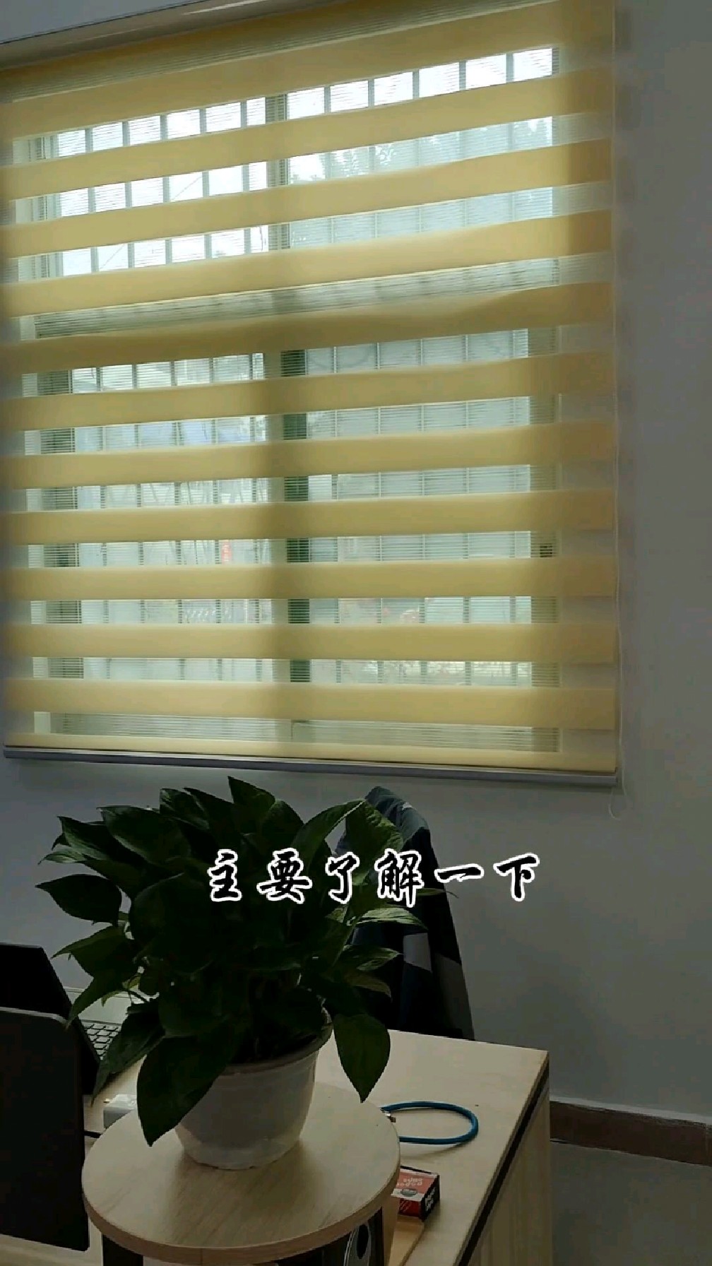 办公室柔纱帘百叶帘防晒防水遮光