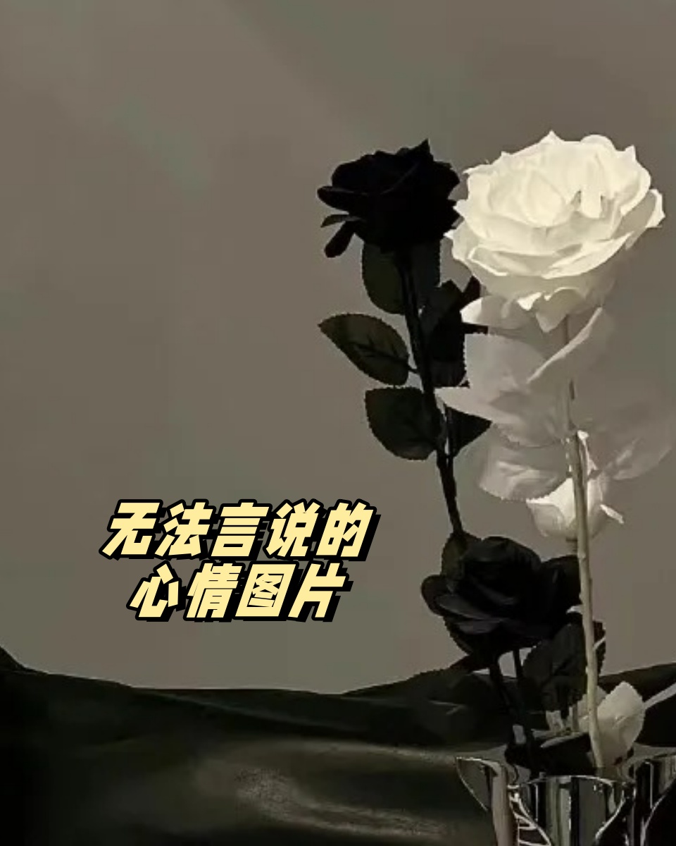 无法言说的心情图片  有时候