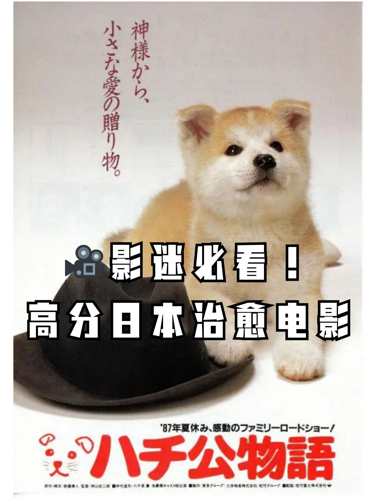 高分日本治愈电影 《忠犬八公物语》