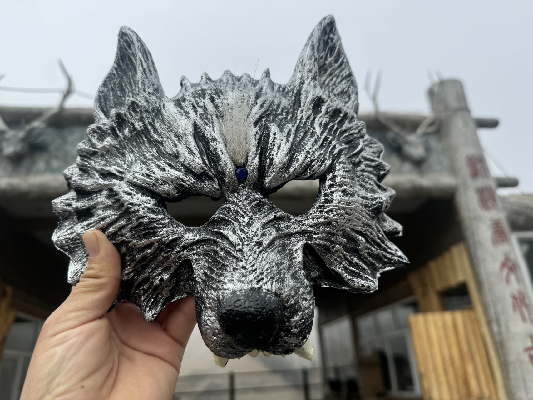 野狼谷狼狼面具,戴上帅就完事儿#动物