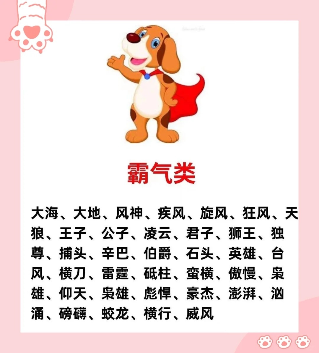 女狗狗高贵洋气的名字