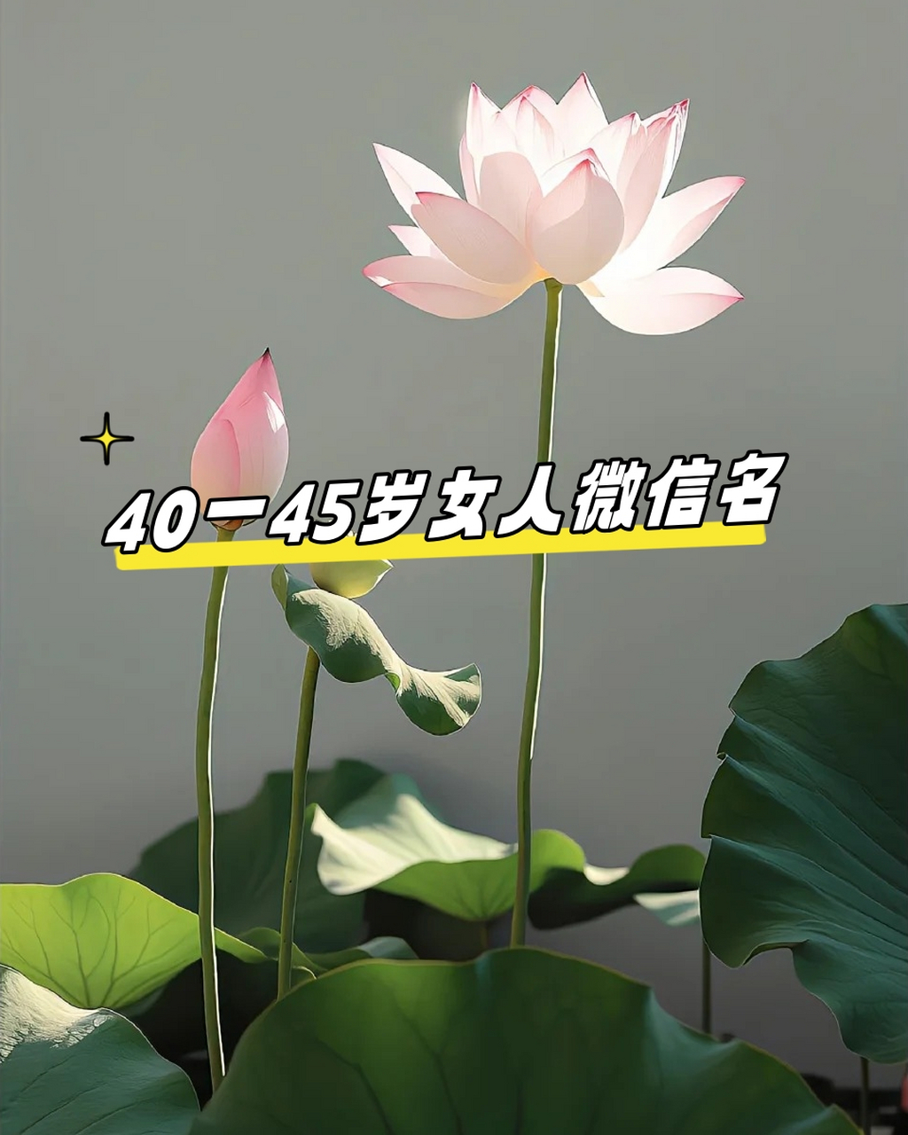 40一45岁女人微信名  1.静心岁月 2.智慧女人 3.优雅生活 4.