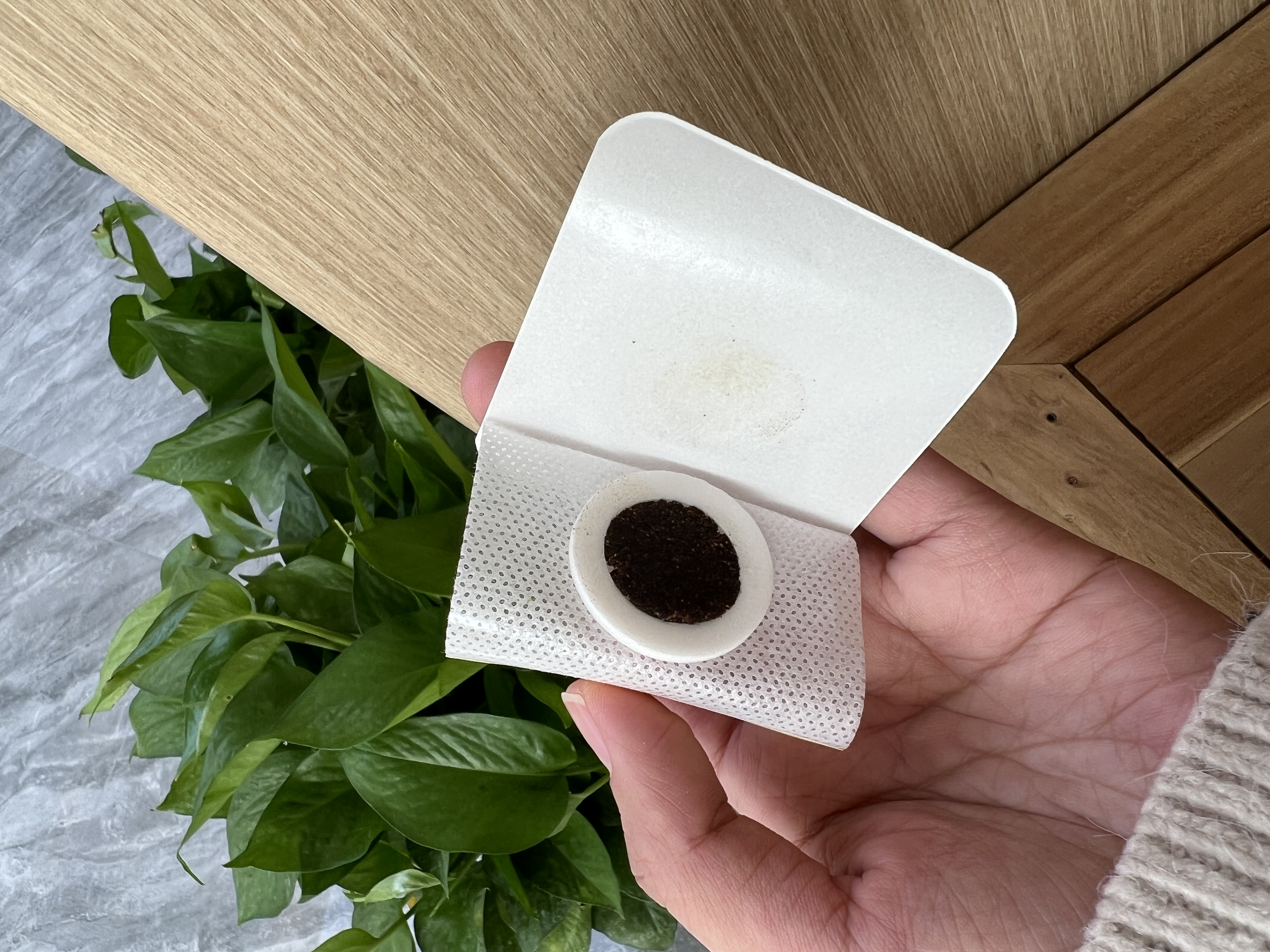 他的妈妈非常关注他的生长发育情况,担心会对他健康