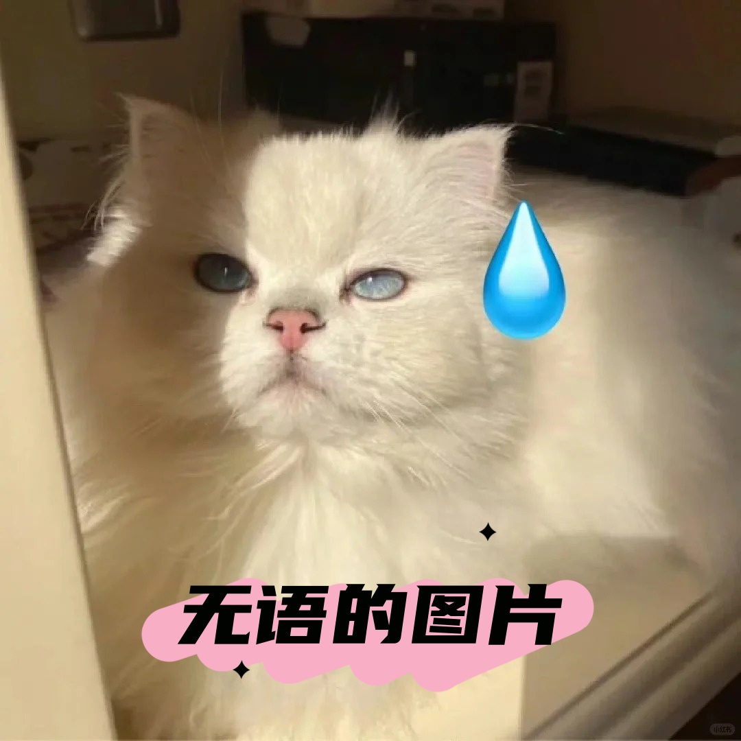 我的无语已经快要爆棚了,就像一个即将爆炸的气球