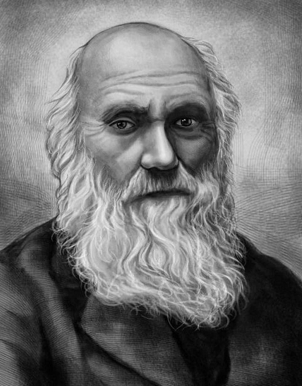 查尔斯·达尔文(charles darwin)是一位英国的自然科学家,也是进化