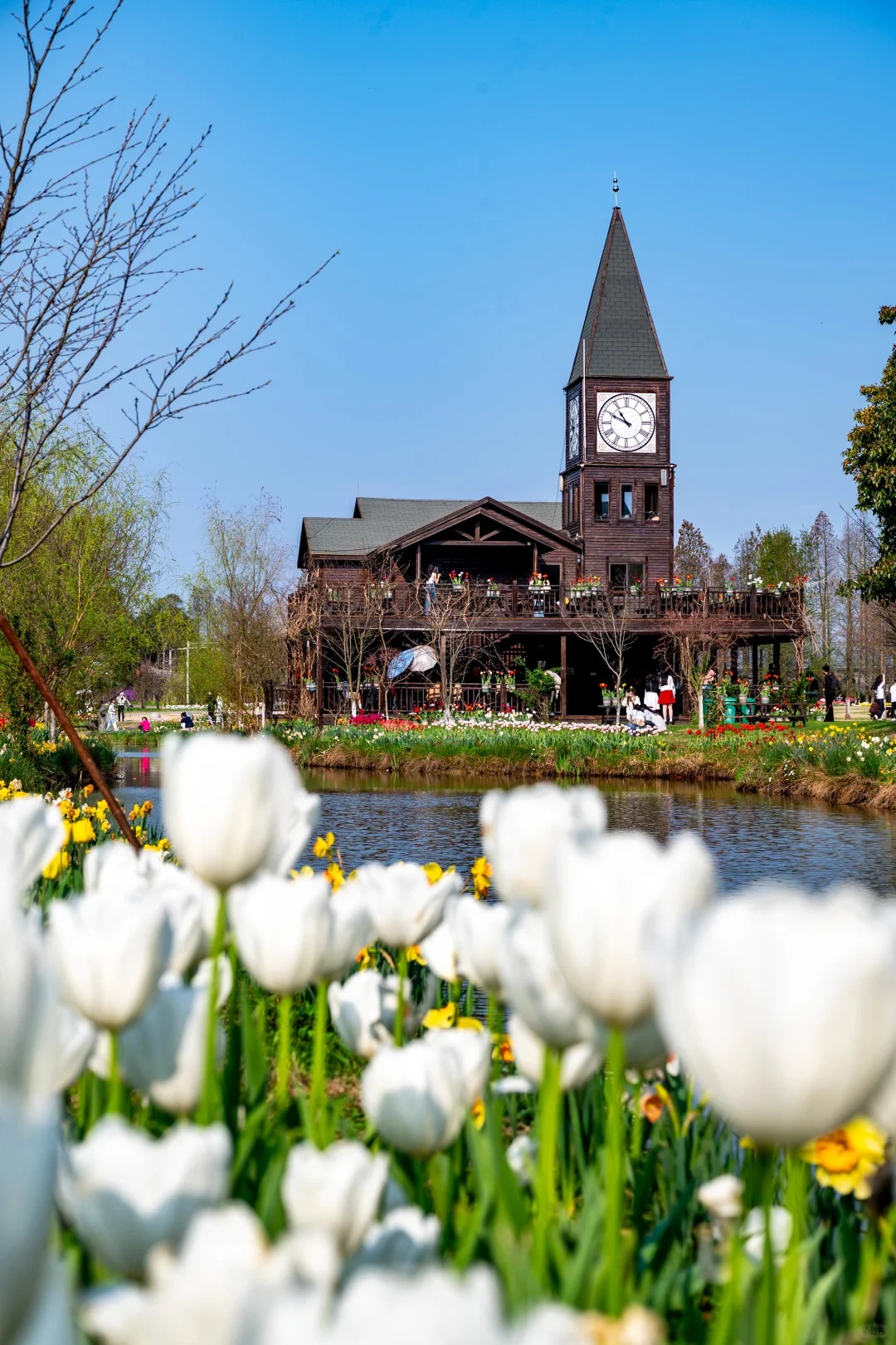 去南昌追春日繁花# 南昌先锋小镇郁金香花展,地方不大,适合短时间