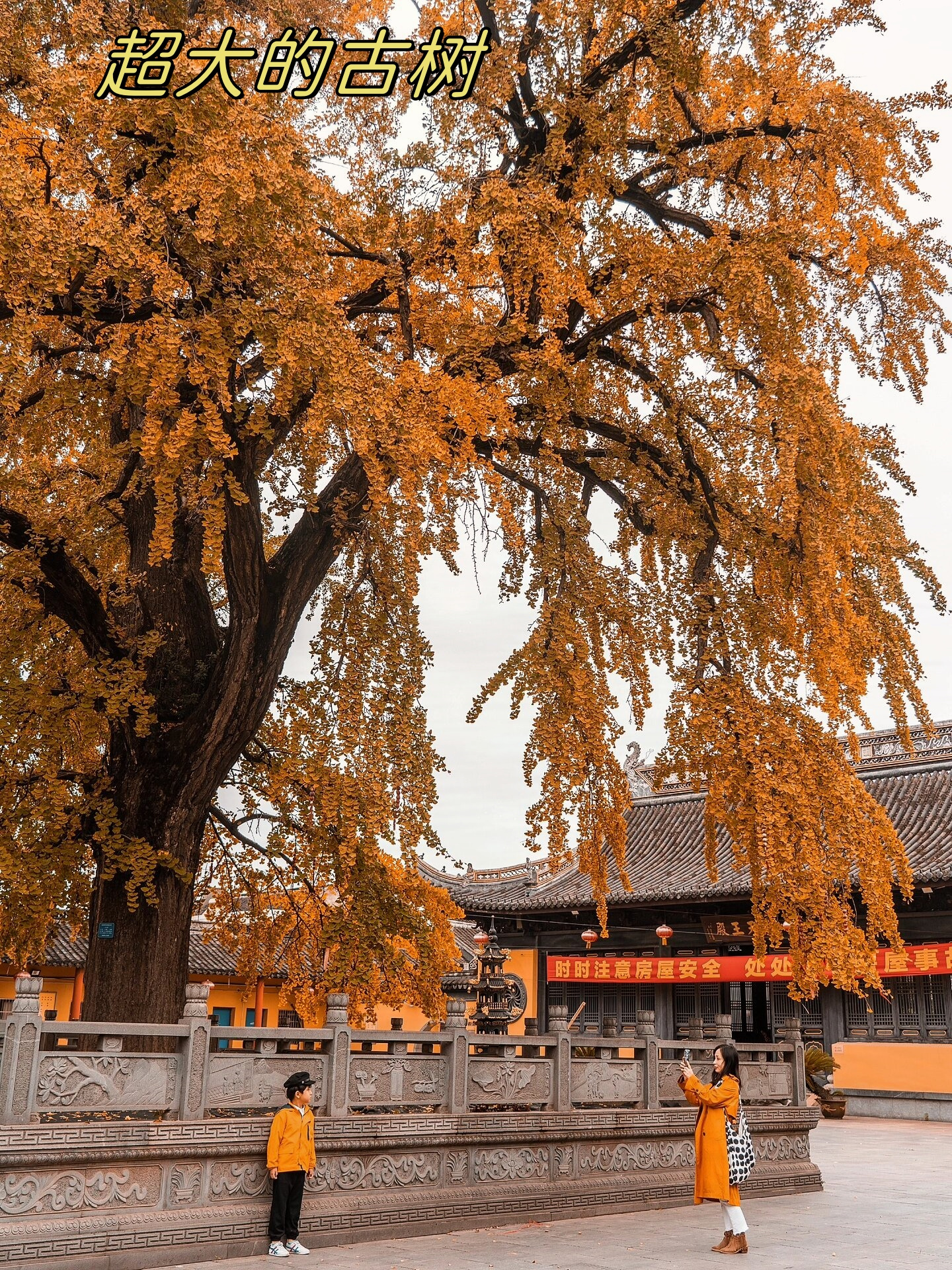 年 11 月 13 日来到了张家港的双杏寺