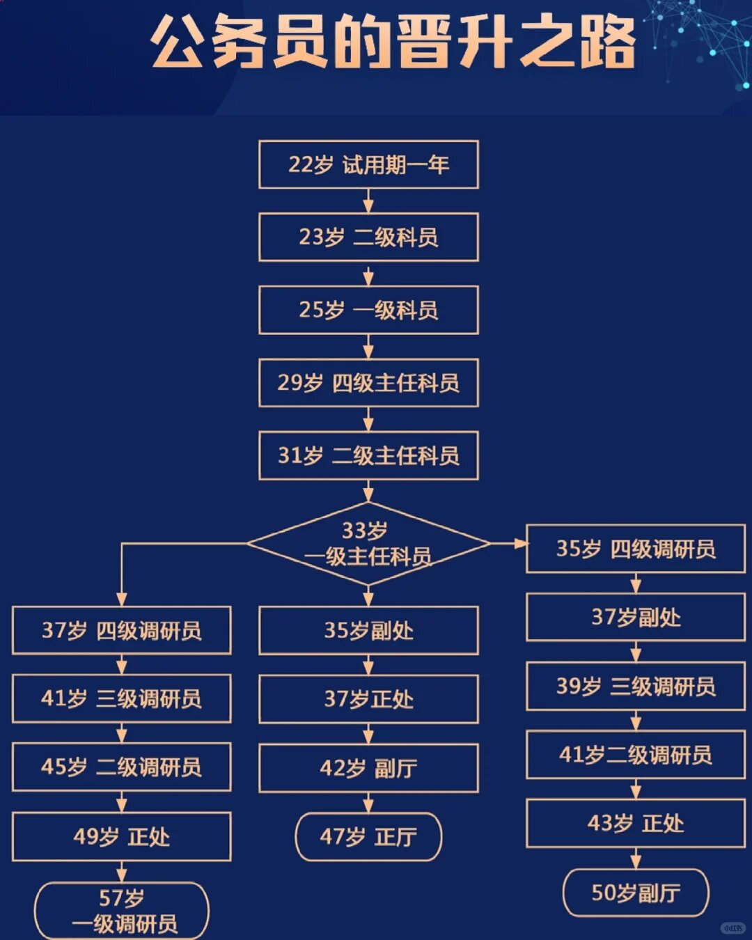 政府职位等级结构图图片