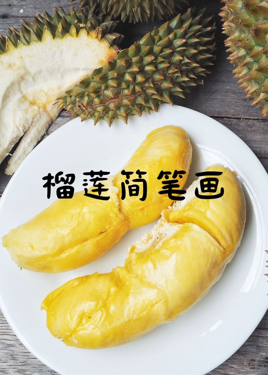 榴莲简笔画  榴莲简笔画,教程分享给大家