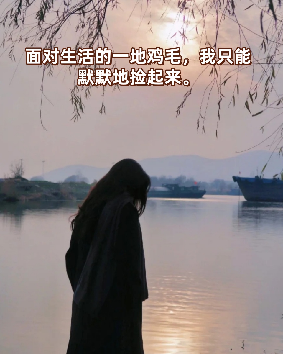 生活一地鸡毛心酸的句子  生活啊,你这个顽皮的孩子,总是给我一地鸡毛