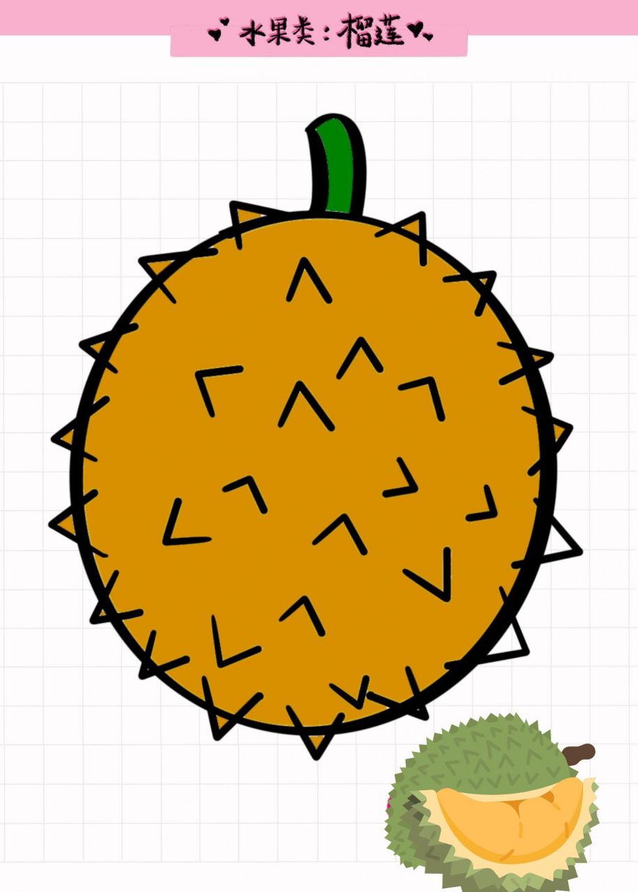 榴莲简笔画  榴莲简笔画,教程分享给大家