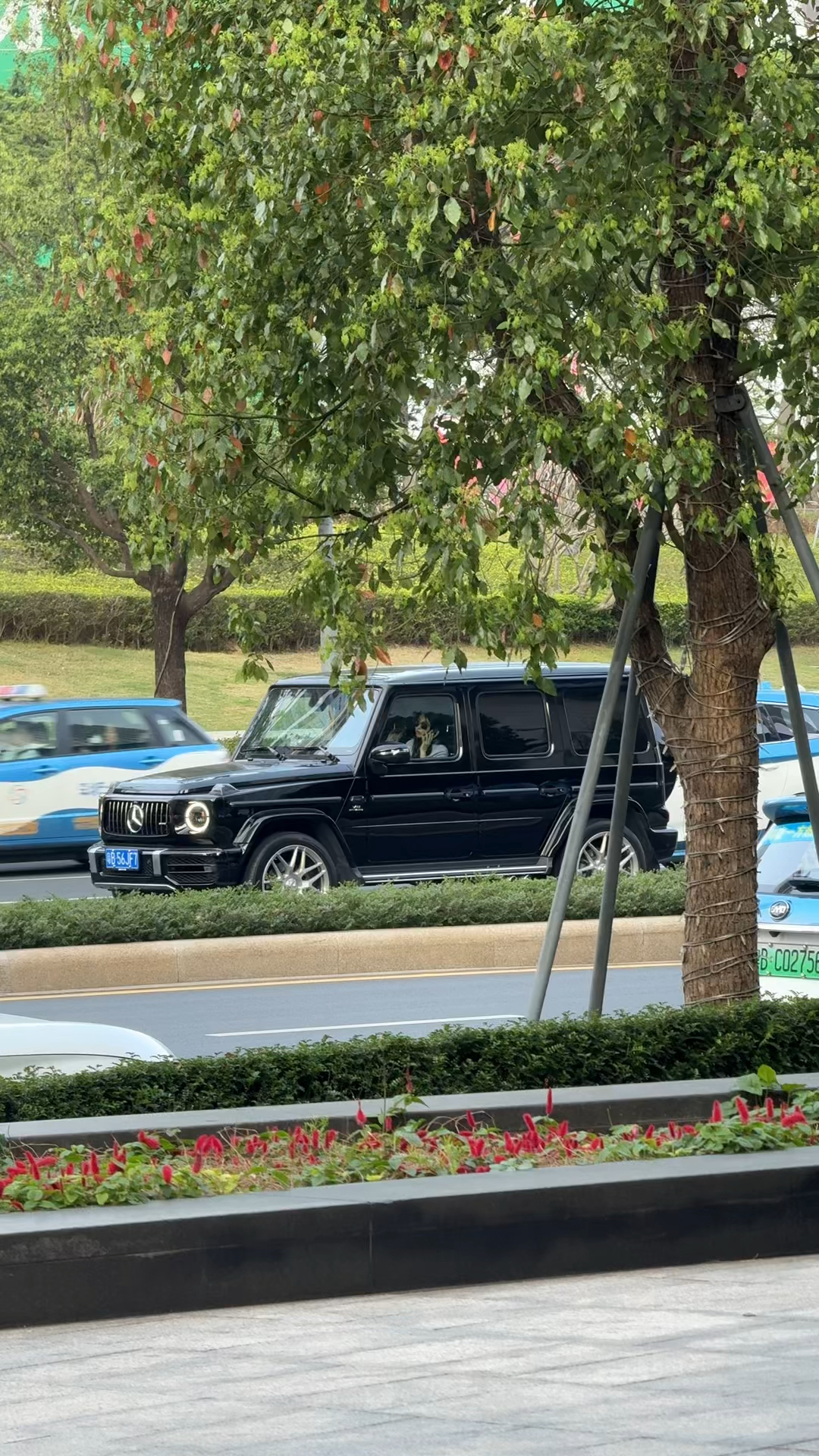 深圳湾一号白富美戴墨镜开奔驰大g豪车美女不想努力了