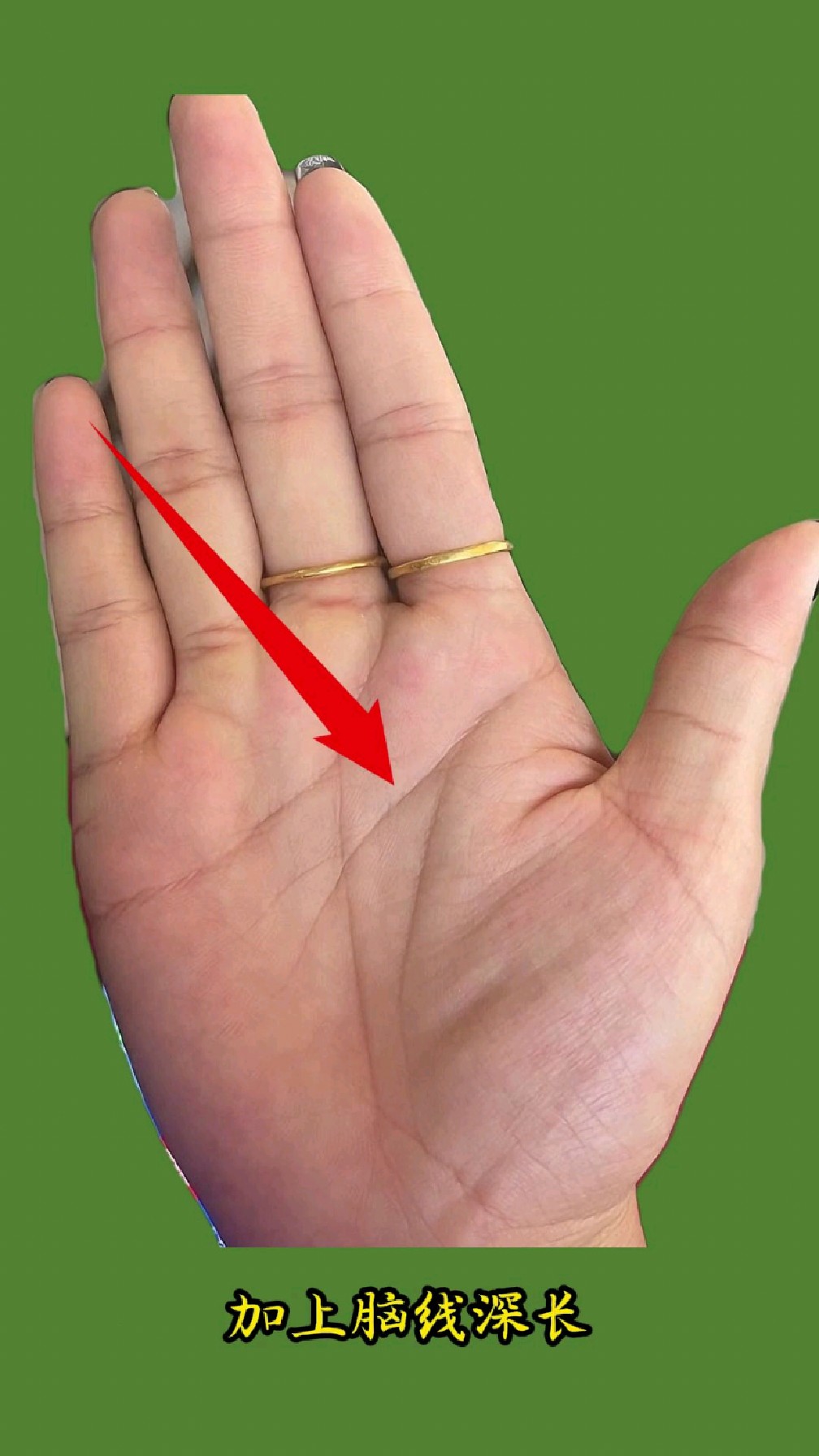 手纹分析与讲解.