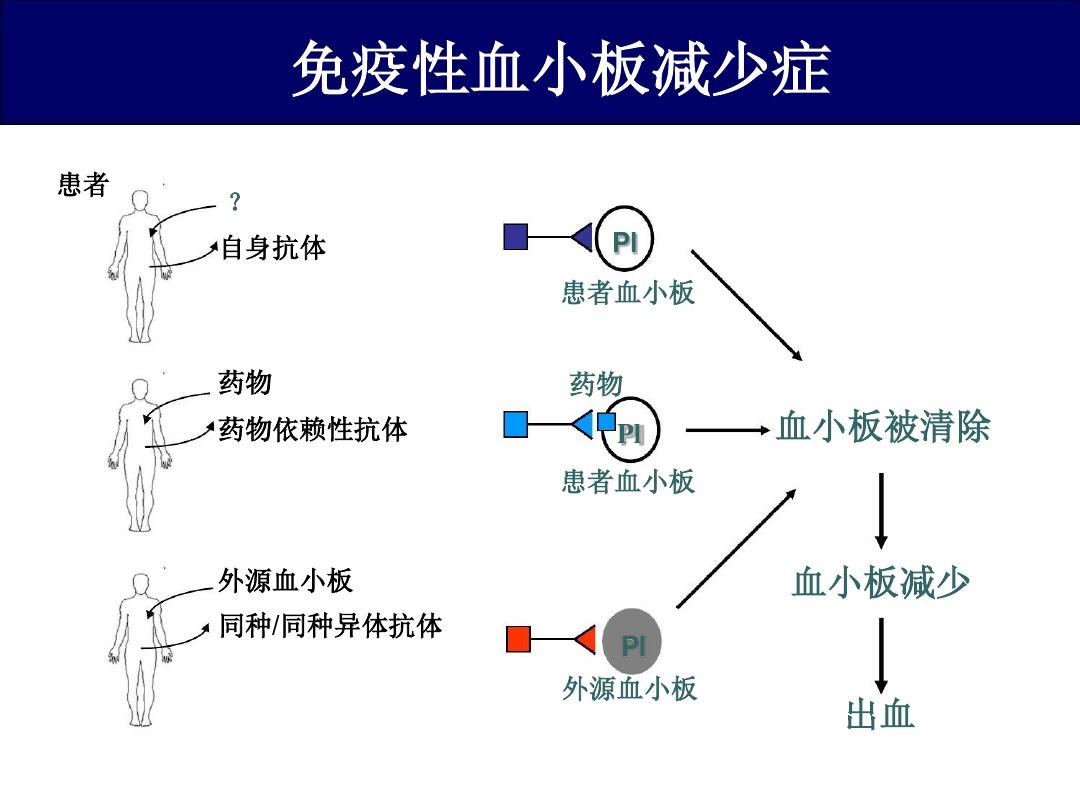 免疫性血小板减少症:不治疗的后果是什么?