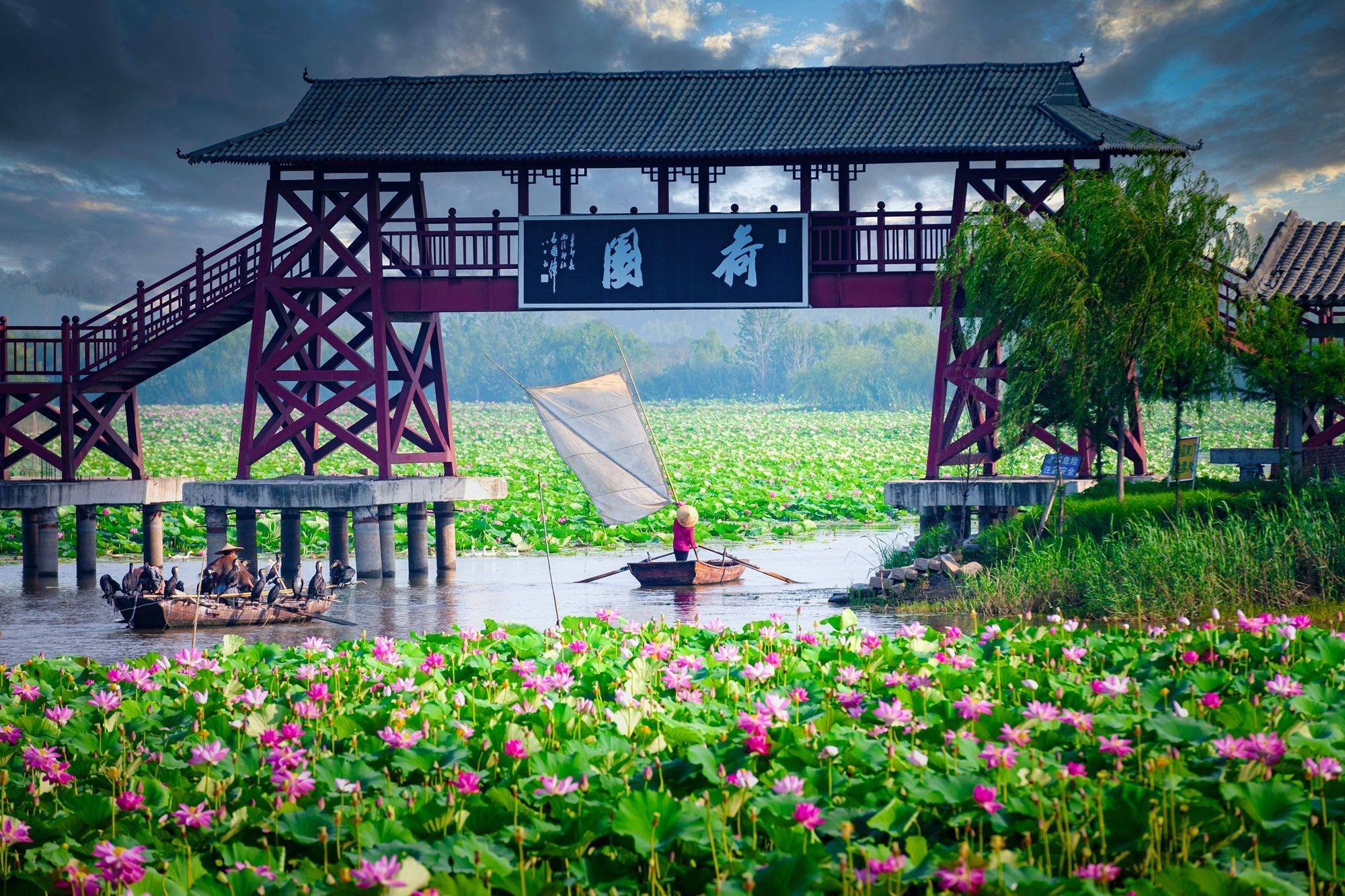 山东省微山湖旅游景点图片