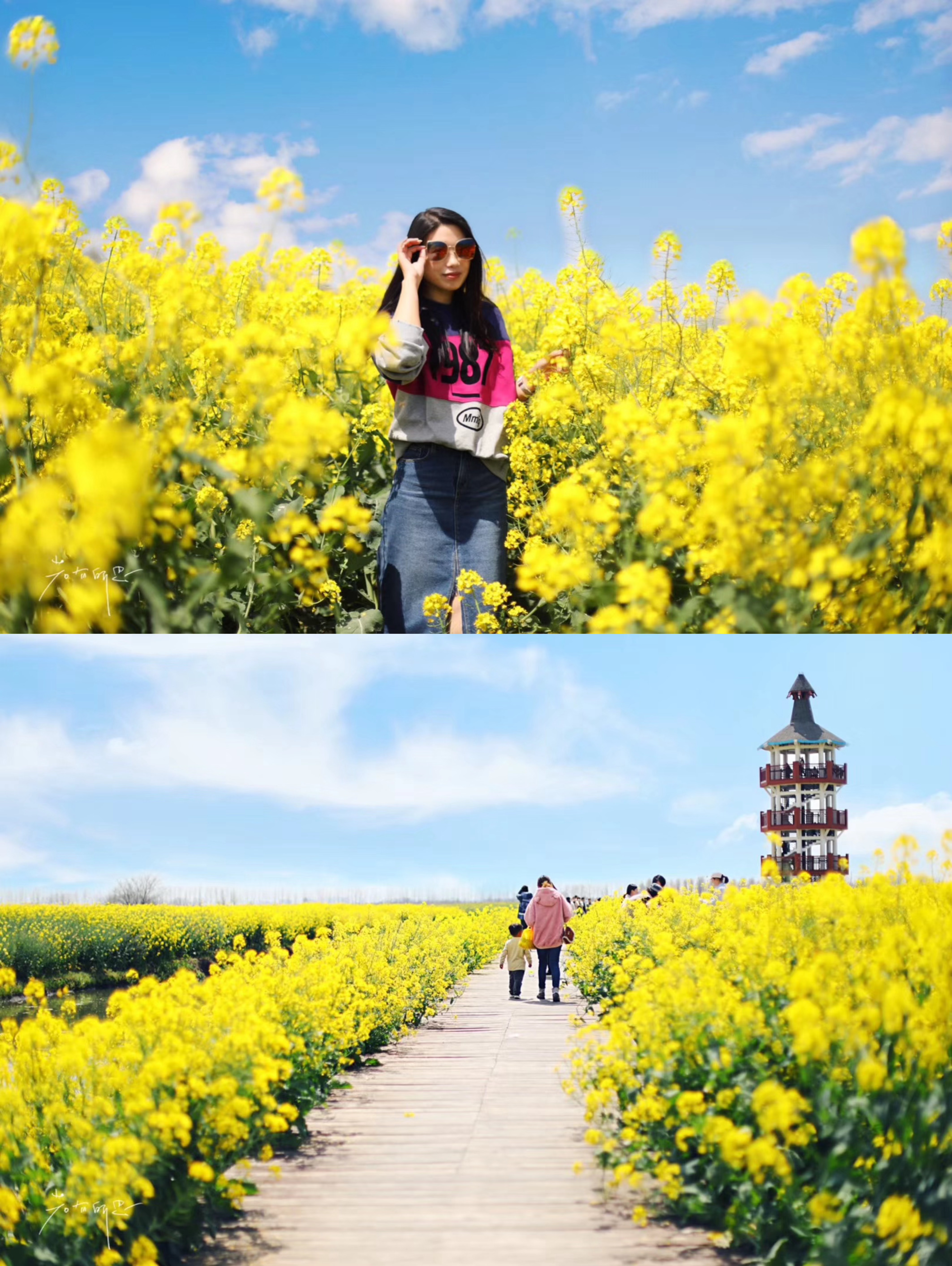 每到3月底4月初,江苏兴化都.@若有所思cs的动态