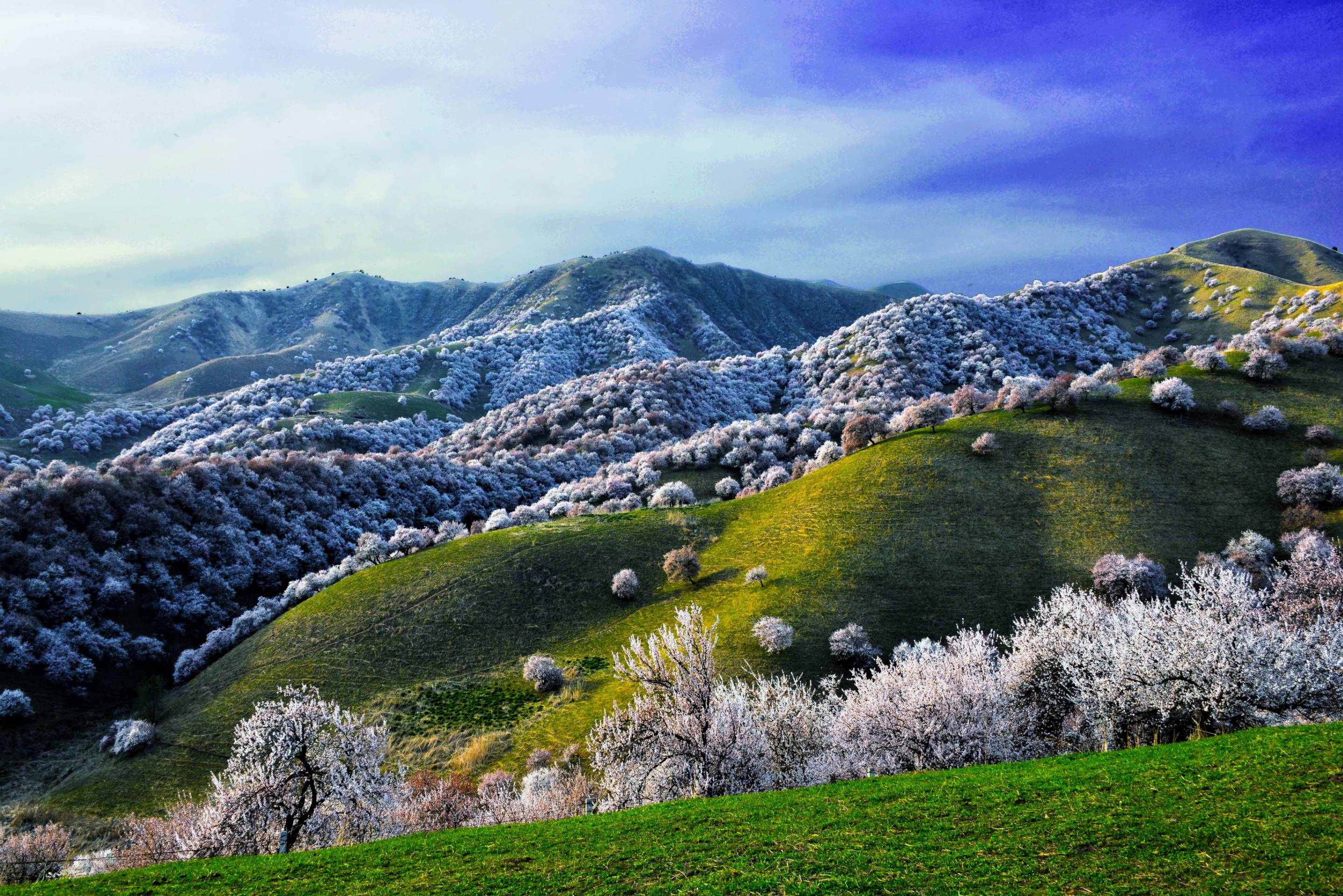 中国十大春游最美景点