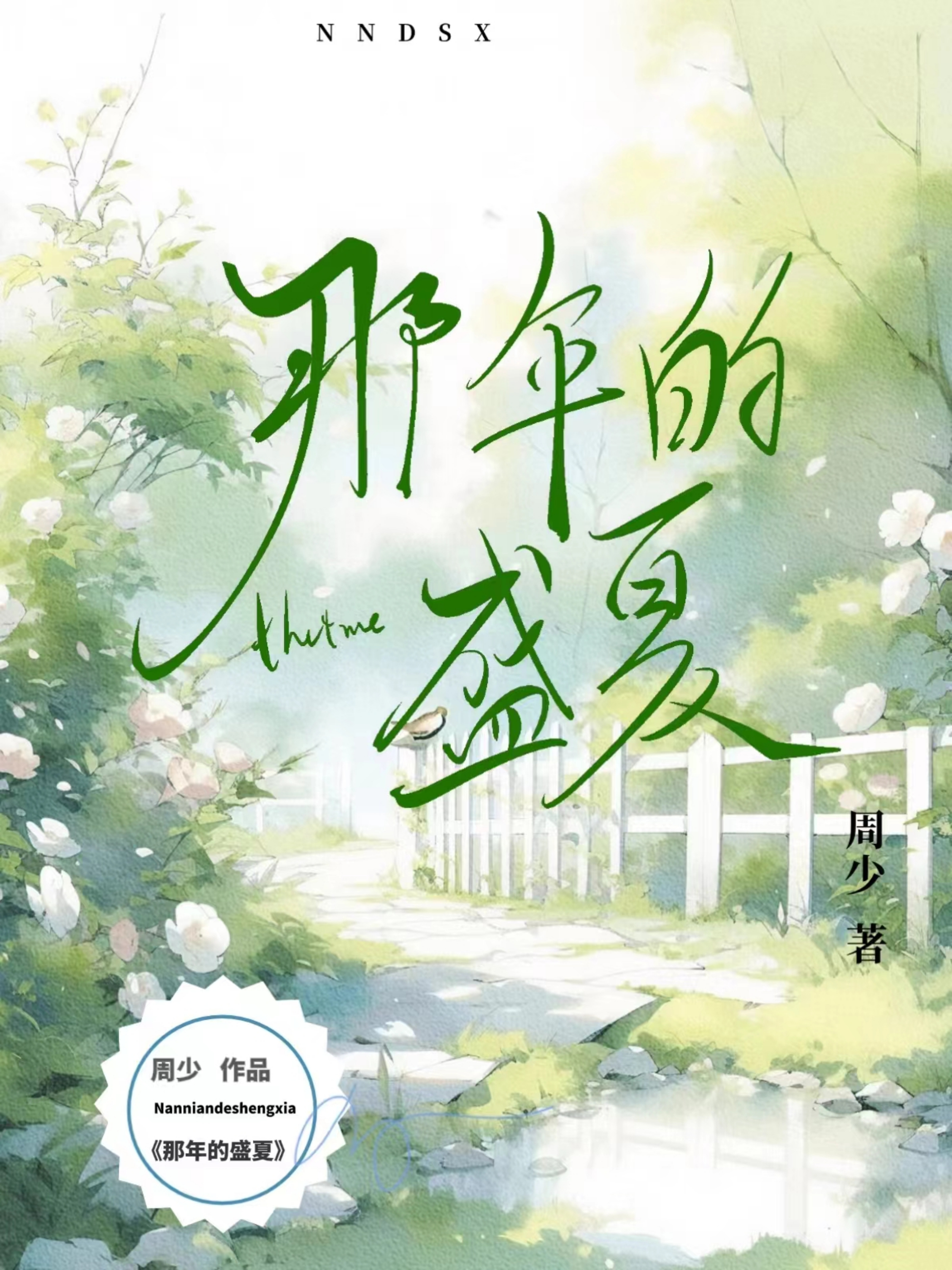 那年的盛夏