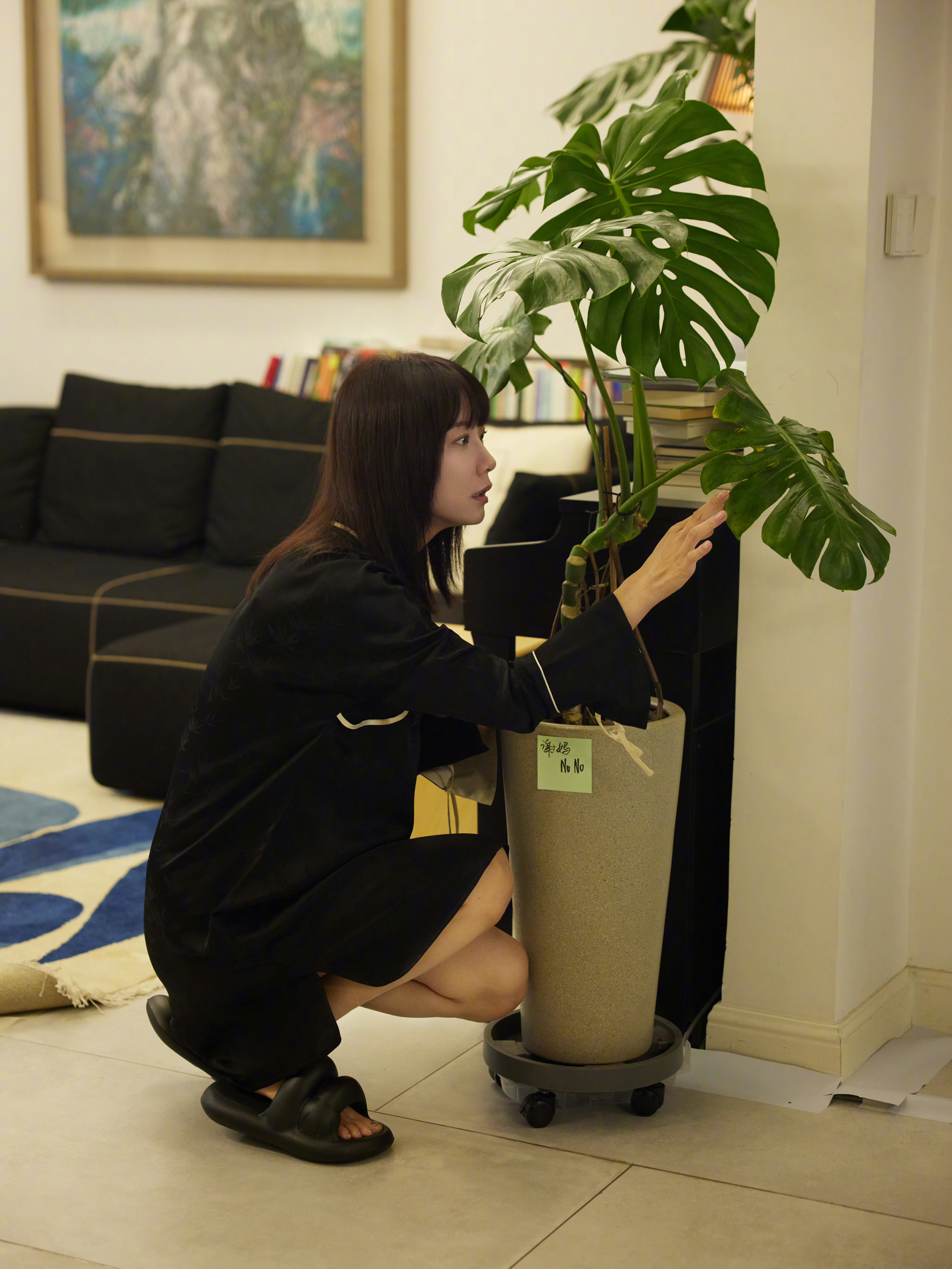 王珞丹的独居生活王珞丹的独居生活恰似老年生活但自己很喜欢开心