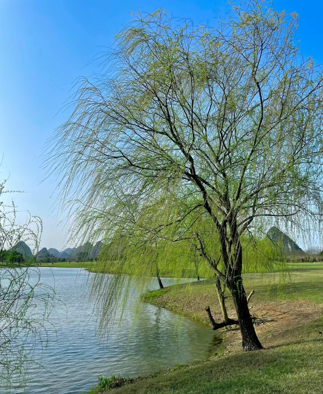 春和景明自然图片图片