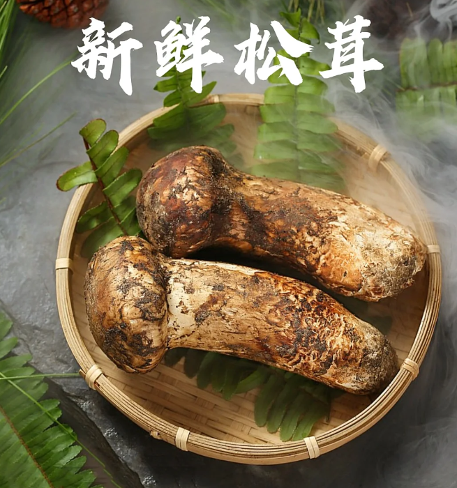 新鲜松茸怎么保存最好