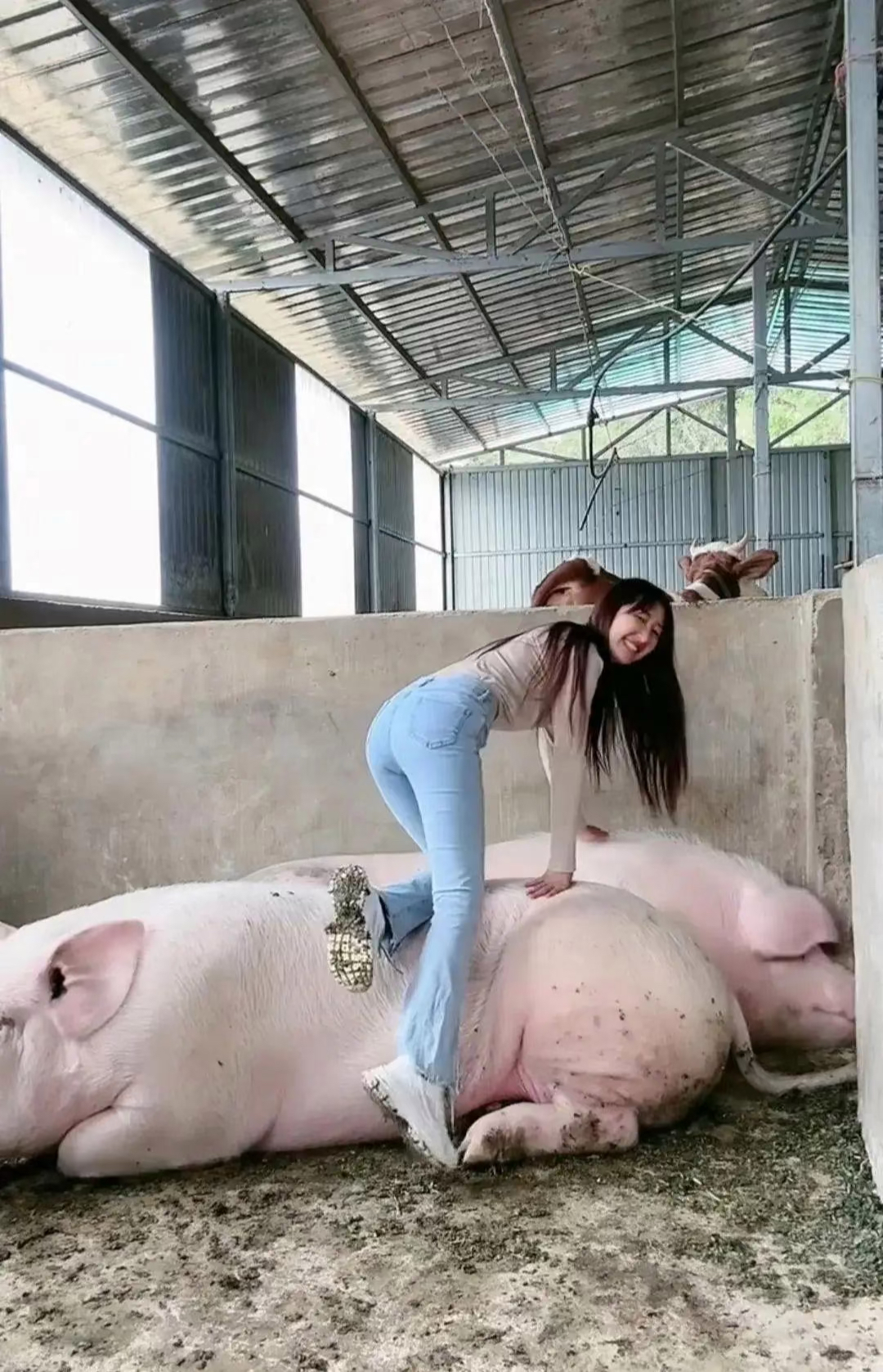 但……猪有没有一千斤我不确定我只知道这个女的应该没有一千斤