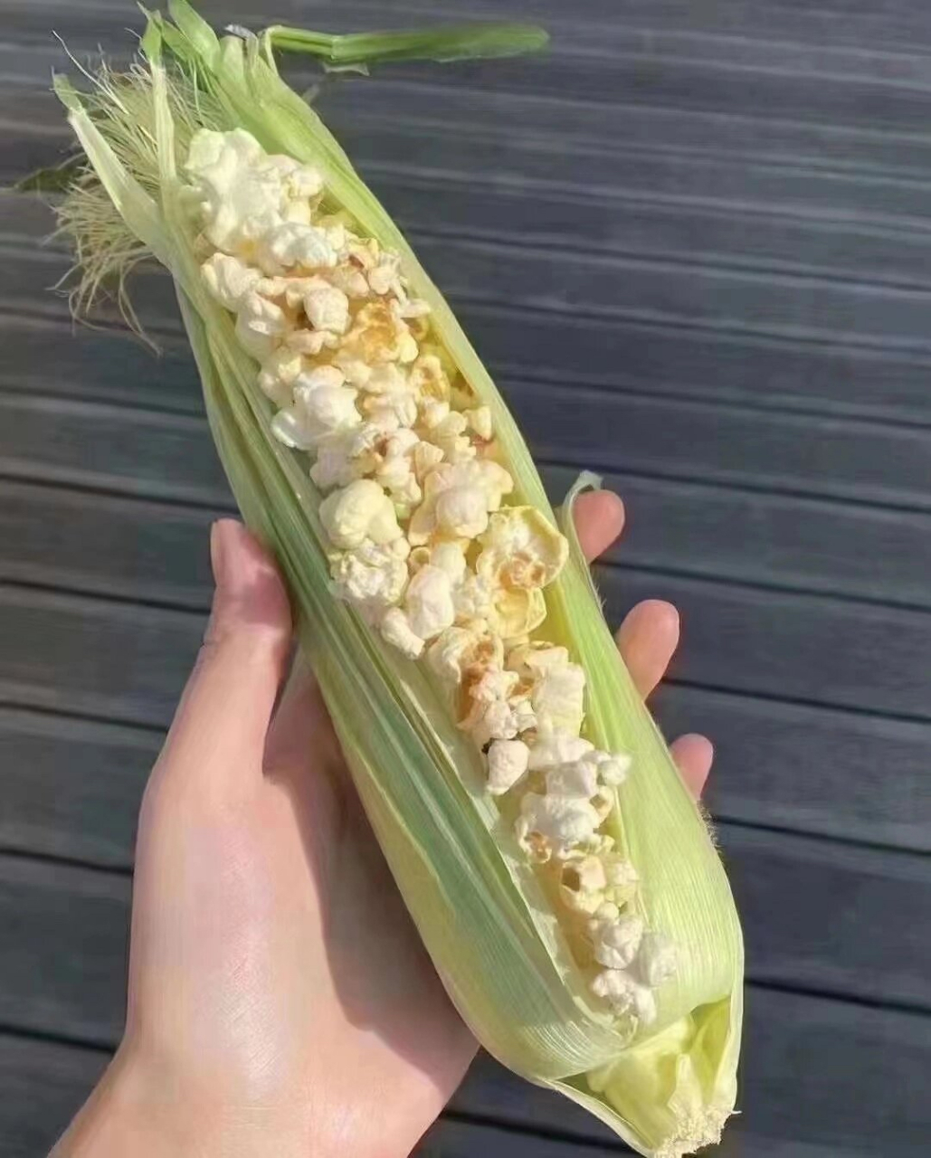 这天热得手里的玉米都成爆米花95了!哈哈哈92#热点引擎计划