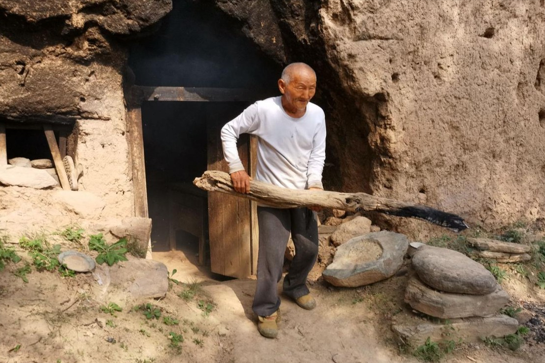 回顾79岁老人独居窑洞与流浪狗同吃一种烩饭看他活成啥样