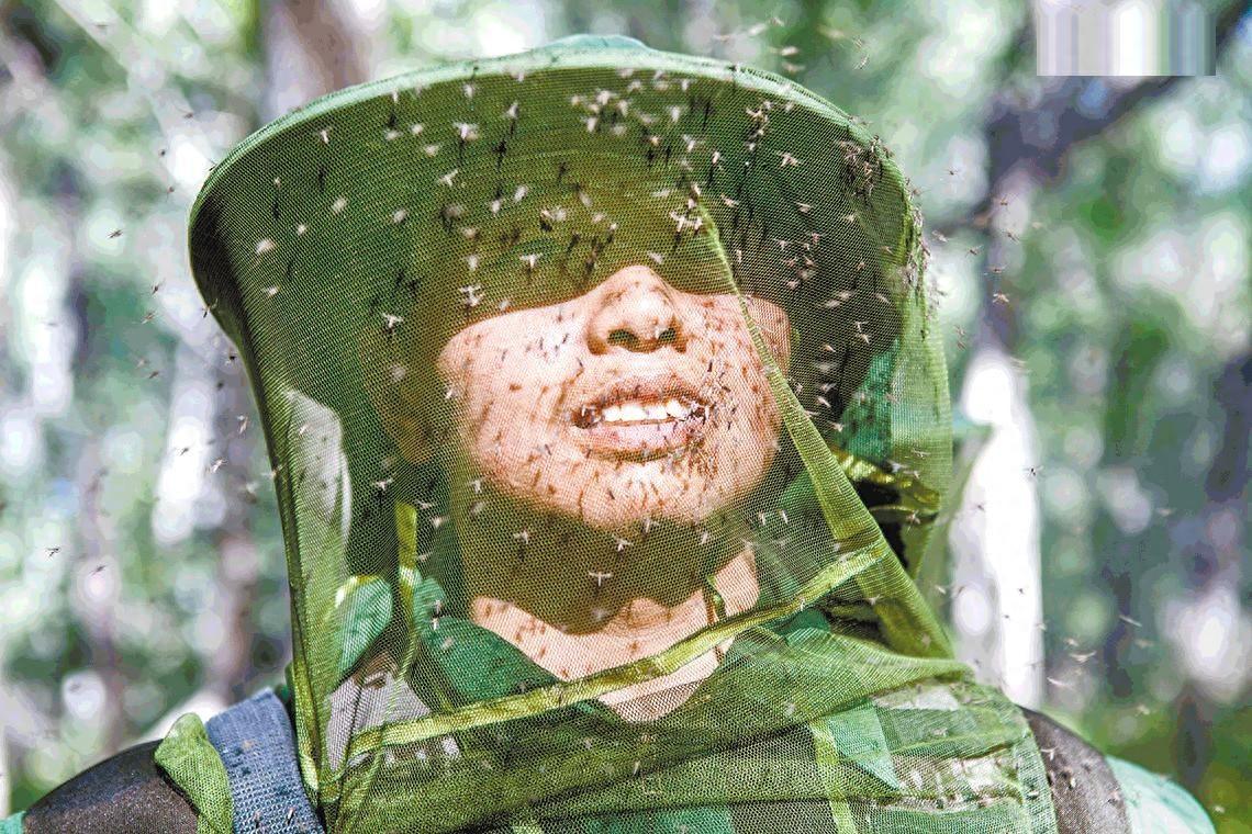 回顾新疆北湾:为何此地如此危险?原来那里有"蚊虫王国"之称