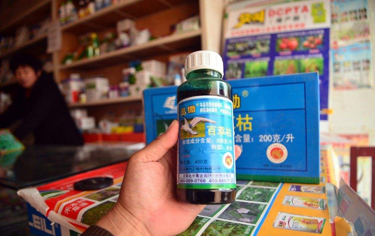 2021年,河北18岁女孩被姐夫投毒百草枯,"你喝了嗓子就不疼了"