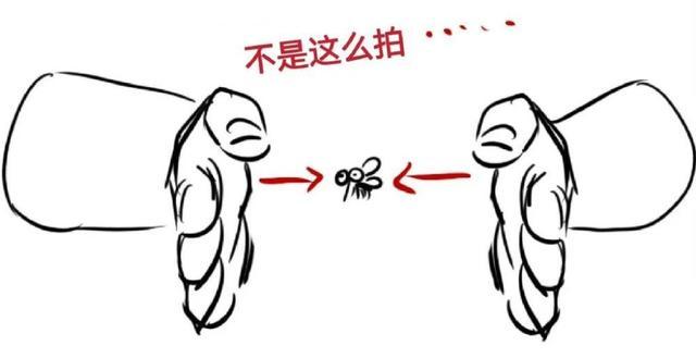 九成人不知蚊子最大天敌是啥用上这个妙招整夜开窗不害怕